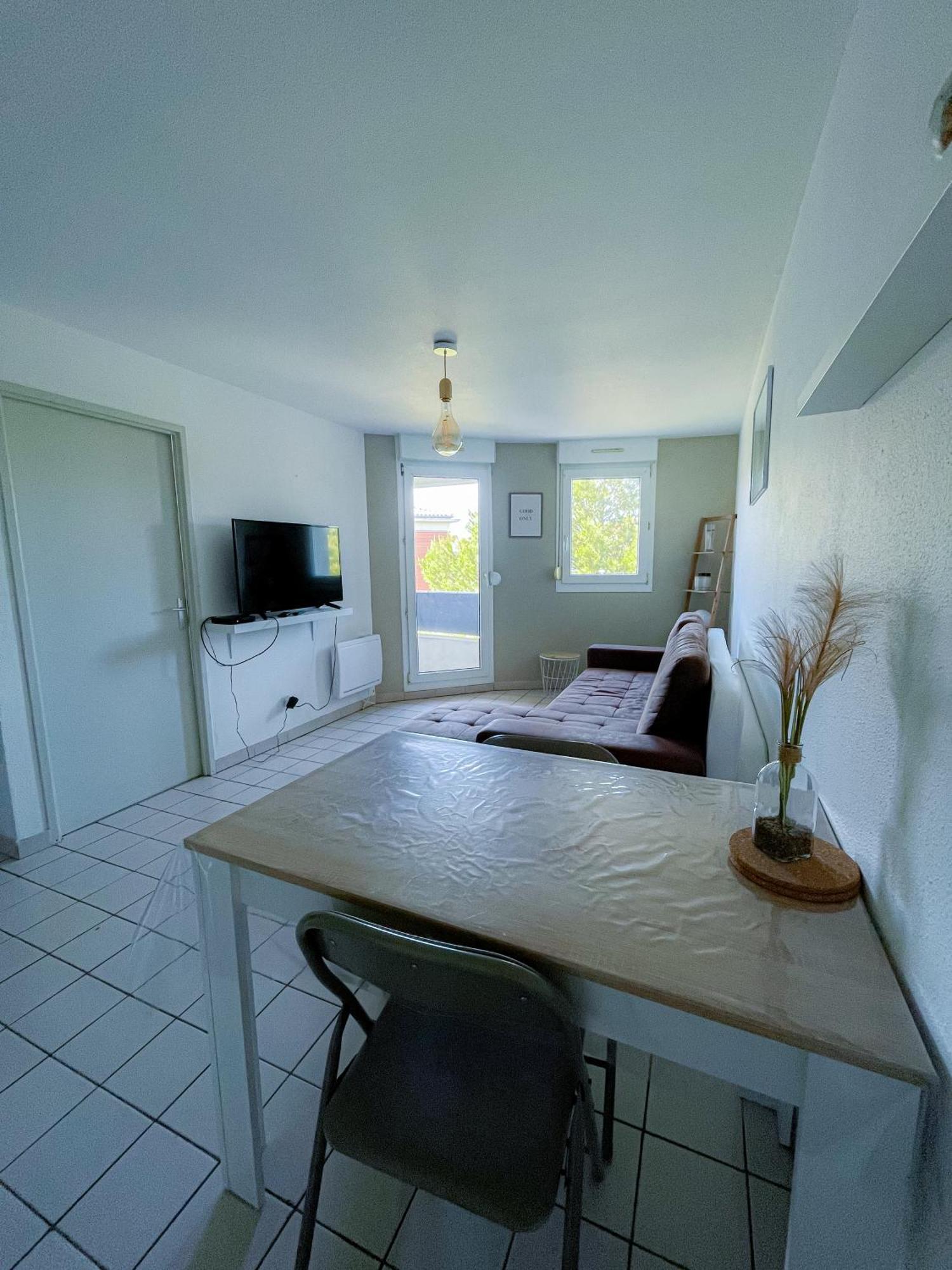 Appartement Le Laurier - Cosi - Wifi - Parking - Balcon à Saint-Orens-de-Gameville Extérieur photo